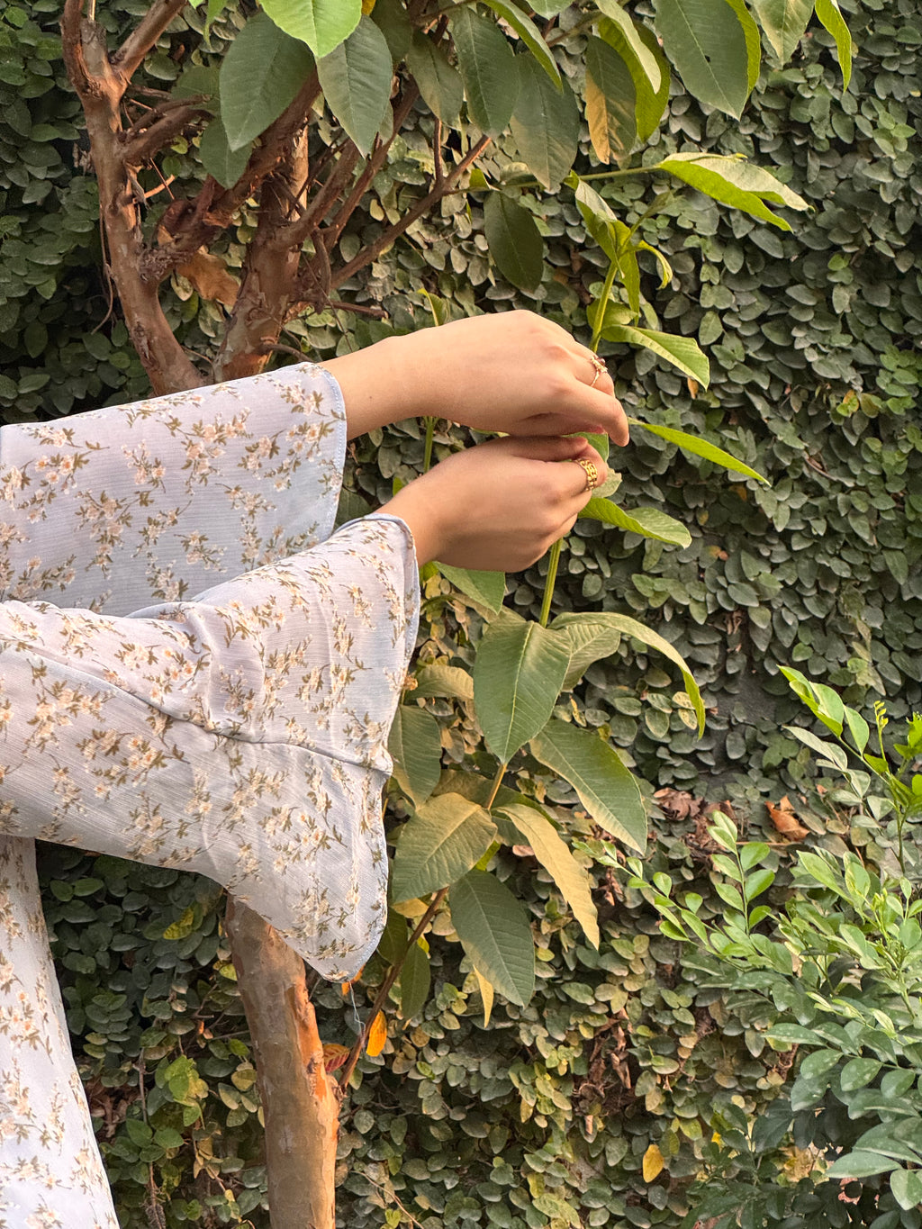 Bluebell Fairy kurti