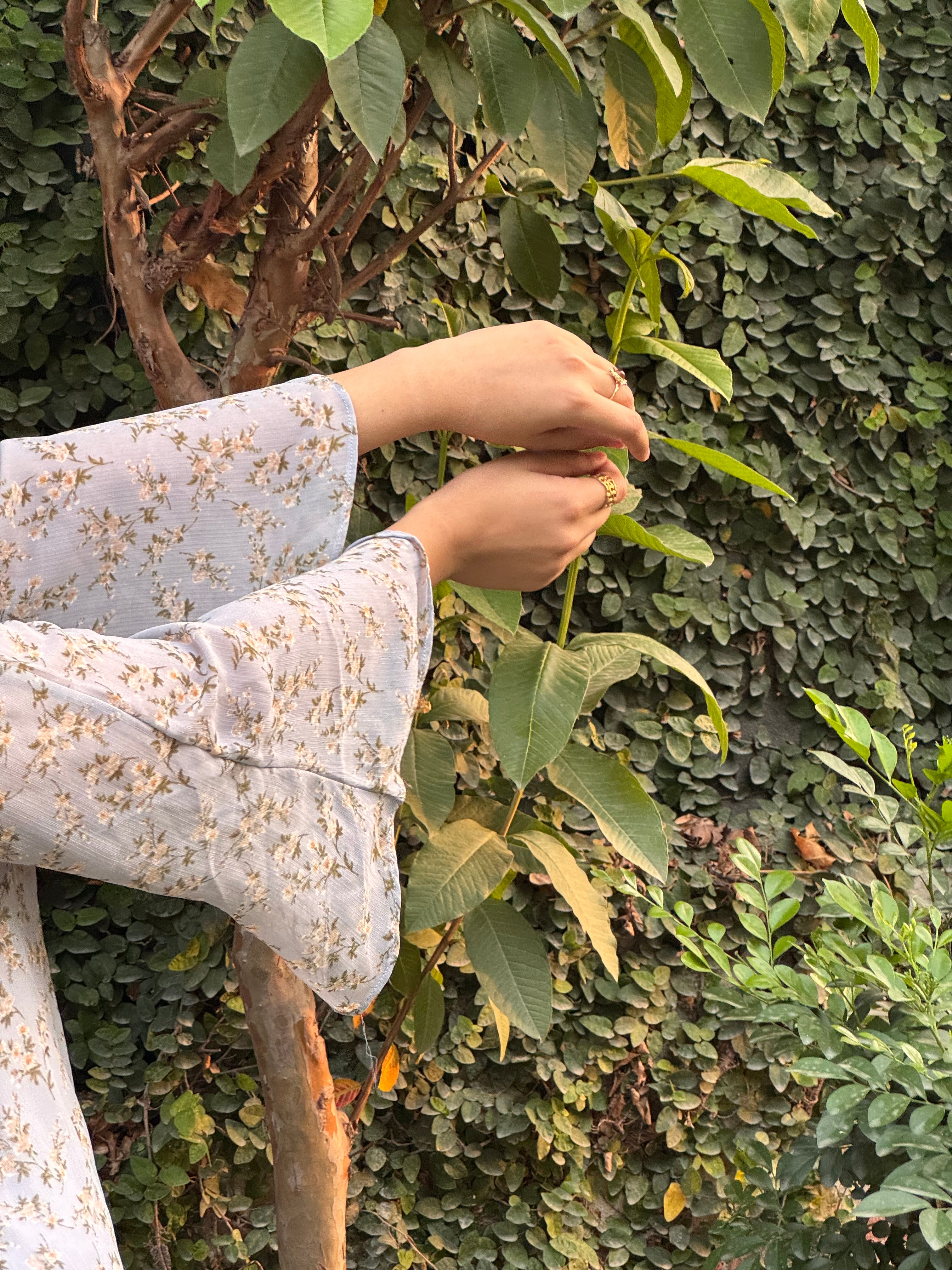 Bluebell Fairy kurti